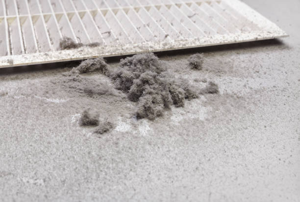 Best Affordable Air Duct Cleaning  in Thibodaux, LA