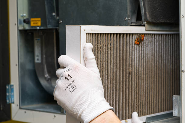 HVAC System Cleaning in LA