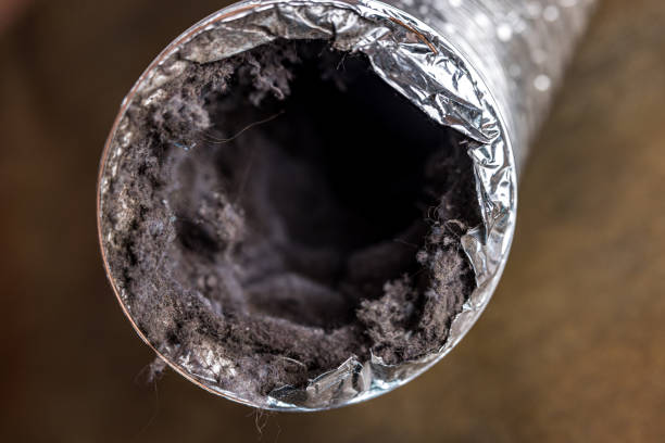 Best Emergency Air Duct Cleaning  in Thibodaux, LA