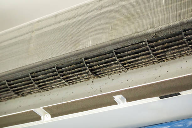 Best Air Vent Cleaning Services  in Thibodaux, LA